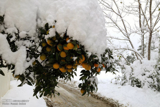 Iran blanketed in snow