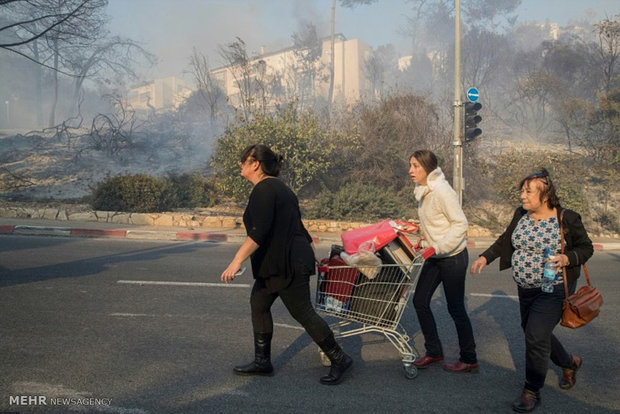 استمرار الحرائق الواسعة في الاراضي الفلسطينية المحتلة