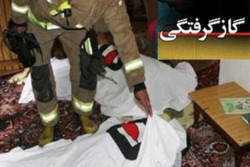 گازگرفتگی دو شهروند کرمانشاهی را راهی بیمارستان کرد