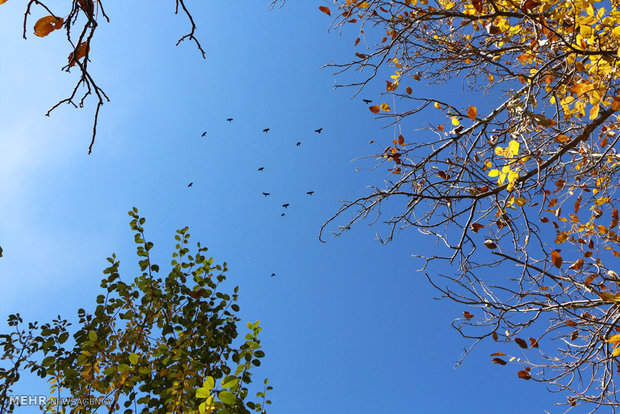 Khansar's autumn nature