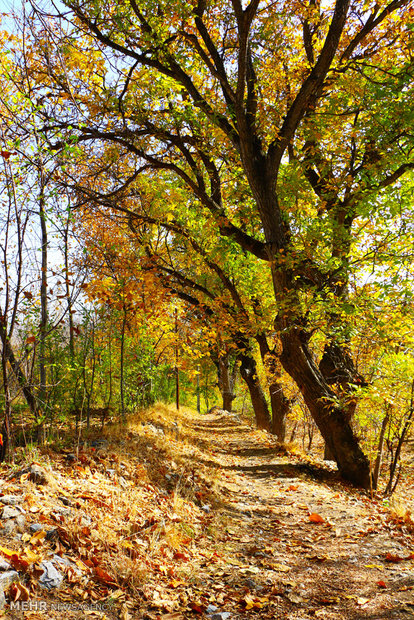 Khansar's autumn nature