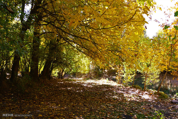 Khansar's autumn nature