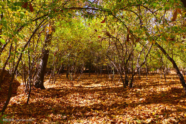 Khansar's autumn nature