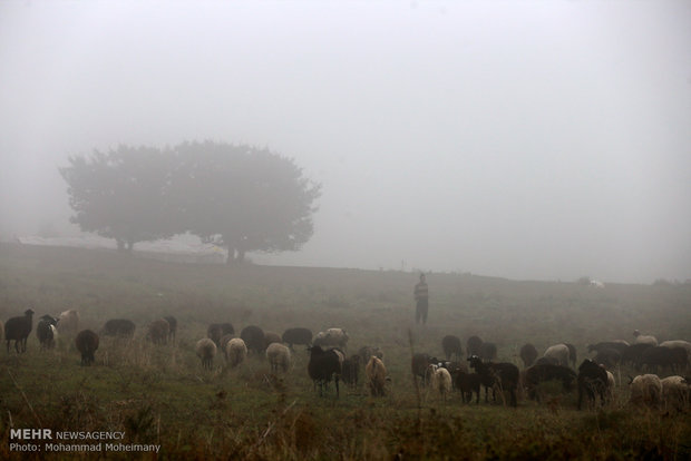 A view of daily life in Iran – 59