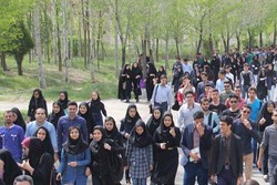 آسیب‌شناسی بازار کار ایران/ هشدار درباره افزایش طول دوره بیکاری
