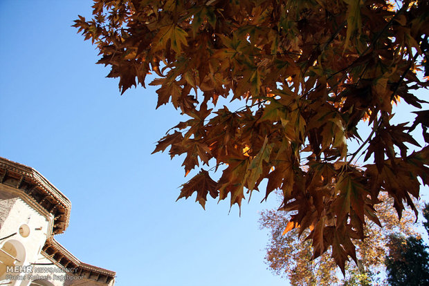 Autumn nature in Shazdeh Garden