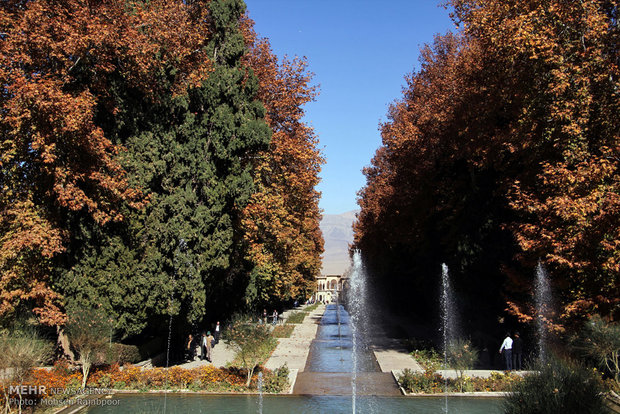 درختان تاریخی باغ شاهزاده ماهان شناسنامه دار می‌شوند