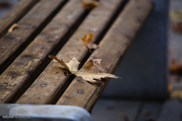 Autumn in Isfahan