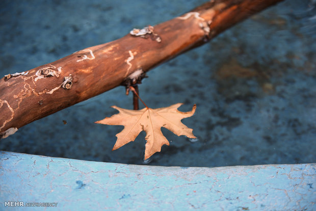 Autumn in Isfahan