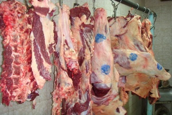 دو تن گوشت فاسد از یک واحد تولید همبرگر در نظرآباد کشف شد 