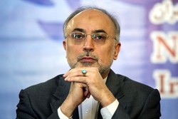 Iran’s nuclear chief lands in Rome