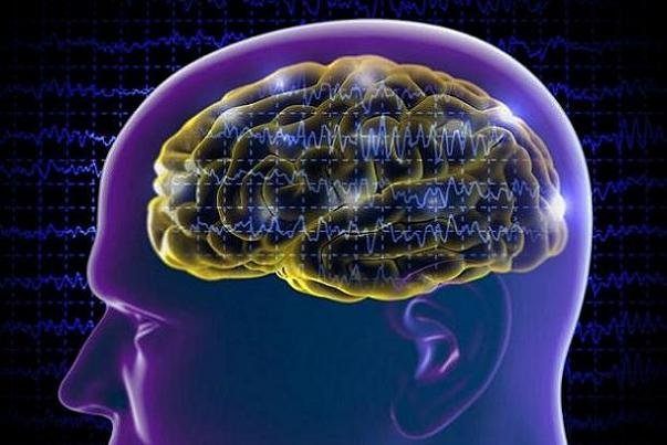 آسیب مغزی در نوجوانی ریسک آلزایمر را افزایش می دهد مغز
