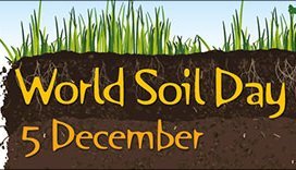 Ban calls for greater attention to soil pressing issues