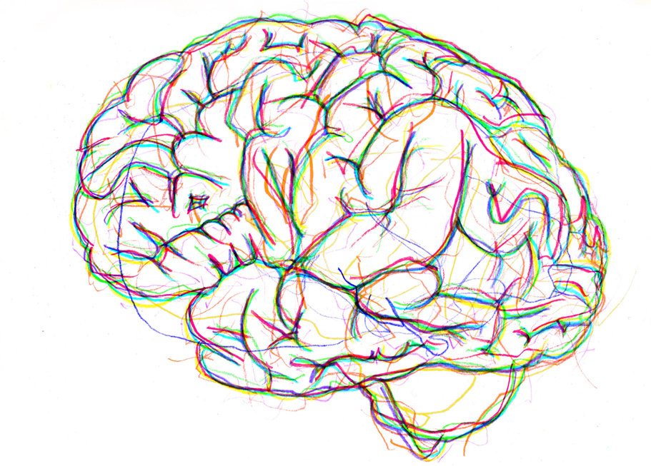 brain mapping