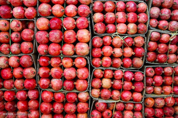 7th Pomegranate Festival in Tehran