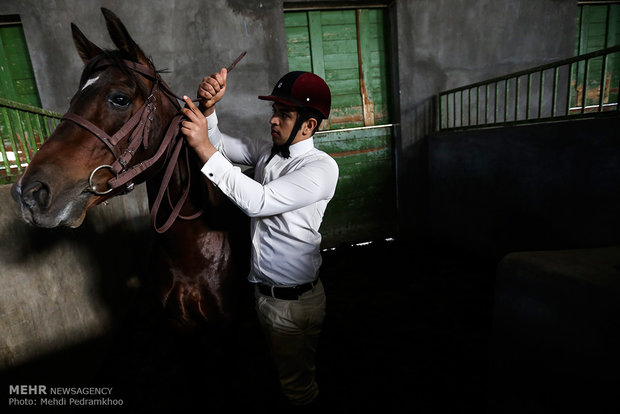 Racing horse skill show 