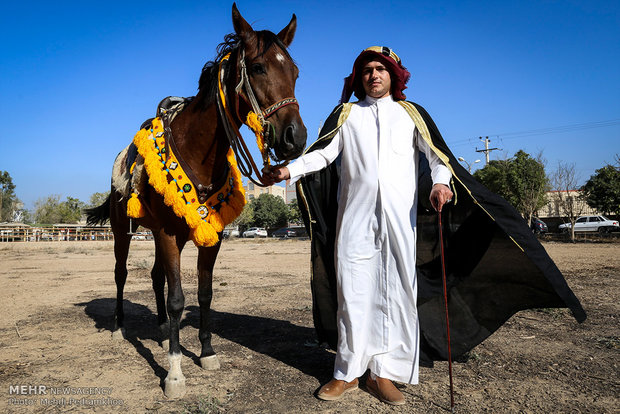 Racing horse skill show 