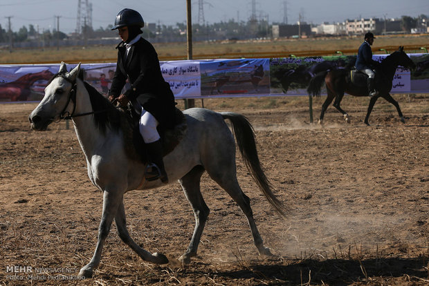 Racing horse skill show 