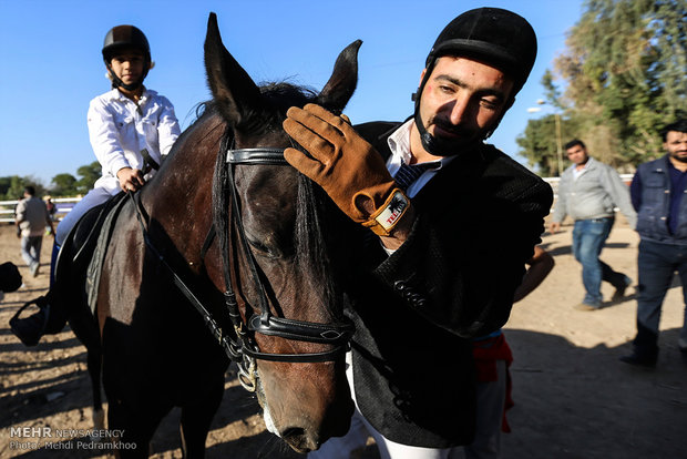 Racing horse skill show 