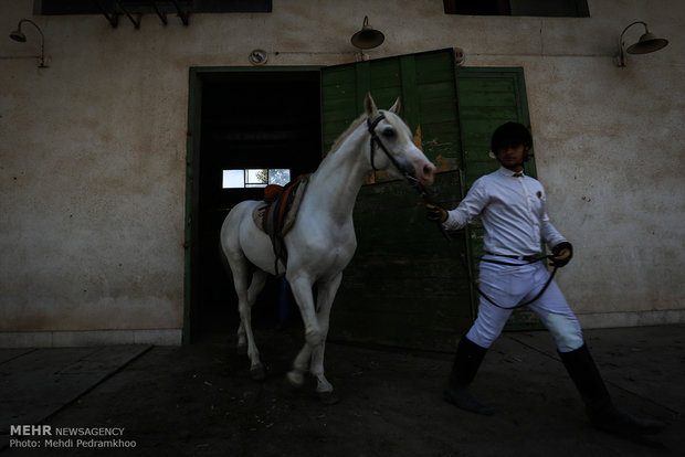 Racing horse skill show 