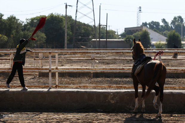 Racing horse skill show 