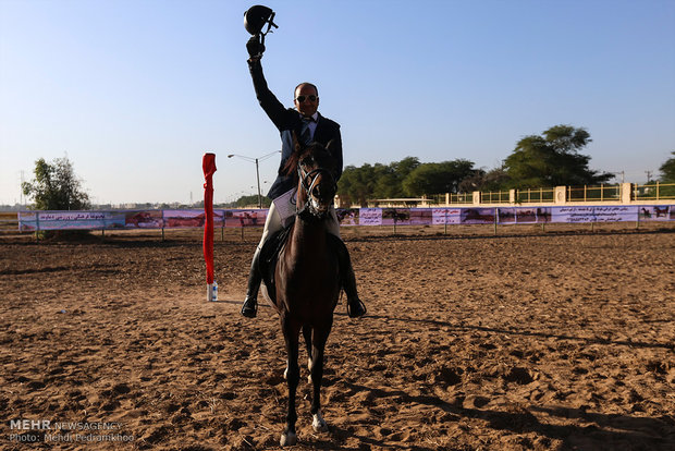 Racing horse skill show 