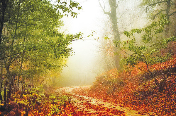 Mazandaran