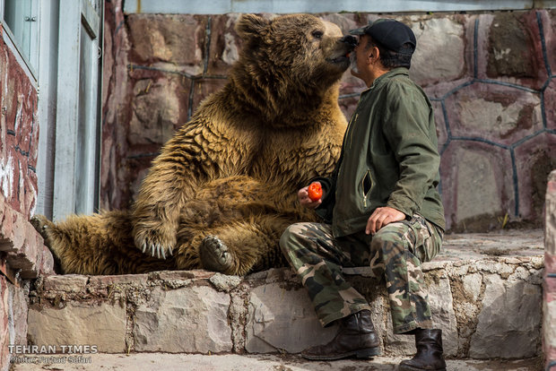 Qazvin nature village, an exceptional zoo