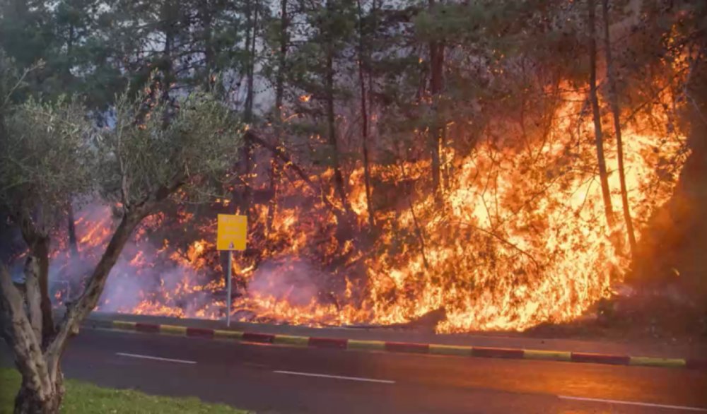 Israeli wildfires