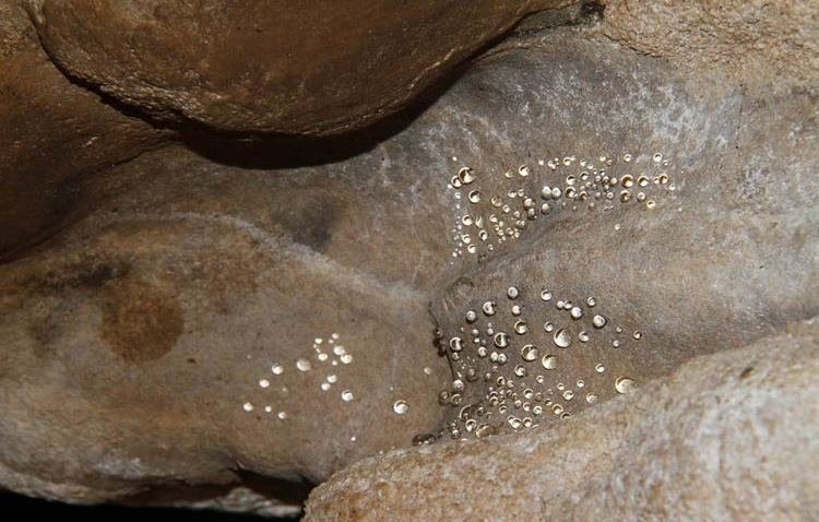 توسعه غار «ده شیخ» به بن بست خورد/ گره مسئولان بر اشتغال۵٠٠نفری