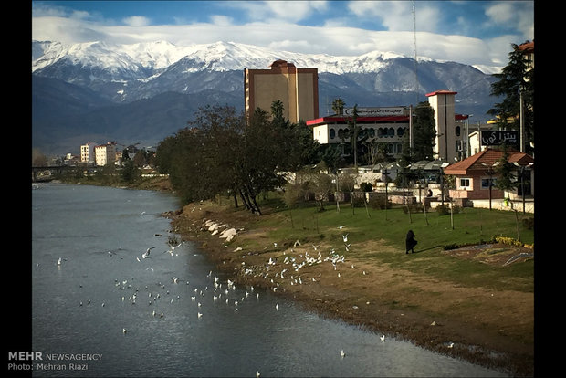 Gündelik yaşam