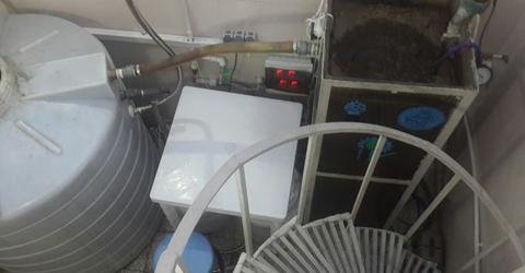 membrane bioreactor