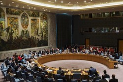 UNSC members propose resolution on reported chemical attacks in Syria