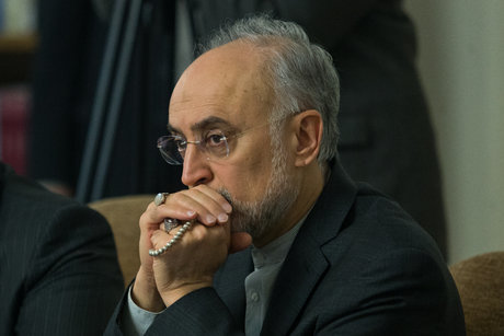 Salehi: Iran can return to its previous nuclear program