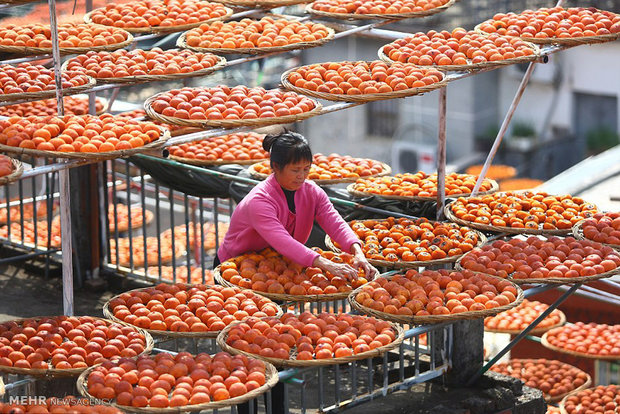 خشک کردن میوه در چین‎