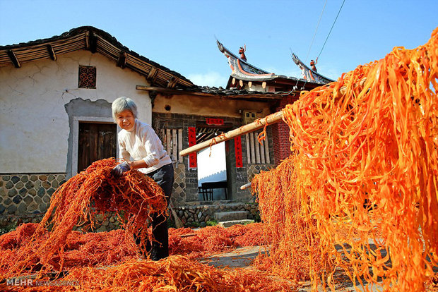 خشک کردن میوه در چین‎