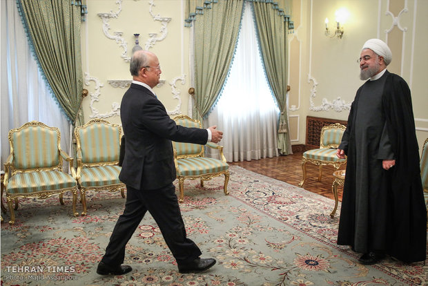 IAEA’s Amano holds talks with Rouhani in Tehran