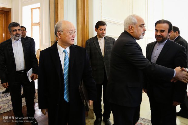 Zarif, IAEA head meet in Tehran