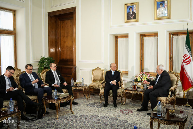 Zarif, IAEA head meet in Tehran