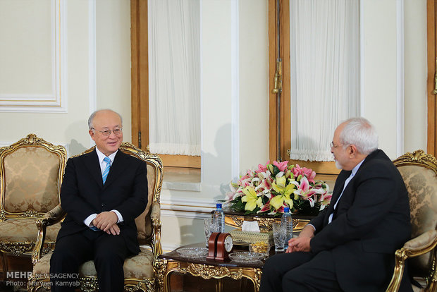 Zarif, IAEA head meet in Tehran