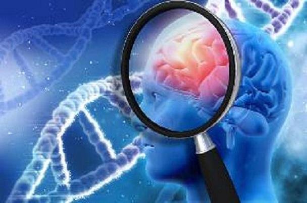 پیش بینی زودهنگام زوال عقل پیش بینی زودهنگام زوال عقل