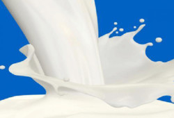 قیمت جدید شیرخام تصویب شد/۲۰۰۰ تومان درب دامداری