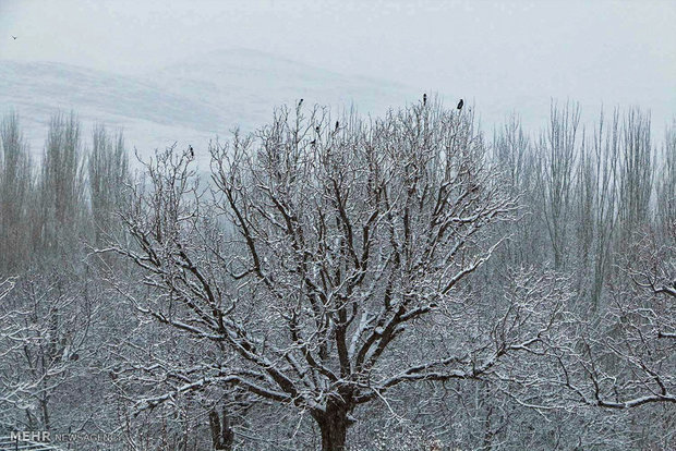 Last day of autumn in Khansar