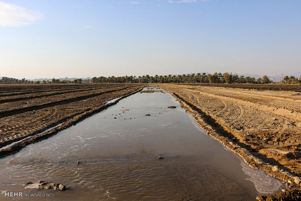 توصیههای هواشناسی کشاورزی