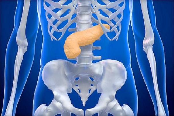 رمزگشایی رابطه بین وزن بالا و سرطان لوزالمعده رمزگشایی رابطه بین وزن بالا و سرطان لوزالمعده