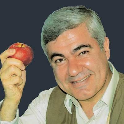 abdolmajid najafi