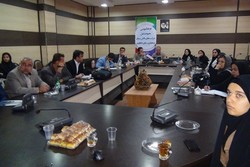 کارگاه آموزشی شرکت‌های دانش بنیان در بوشهر برگزار شد