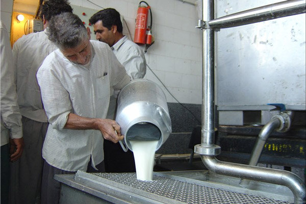 واحدهای سنتی لبنیات در کرمانشاه اجازه عرضه شیر خام را ندارند