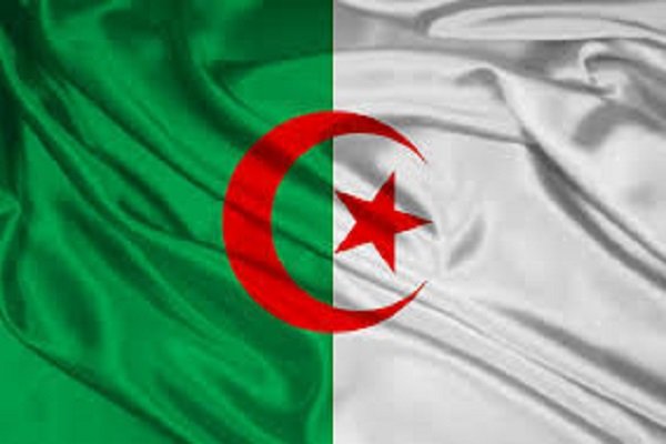 الجزائر: بوتفليقة يتحكم بالوضع والجزائر لن تنفجر