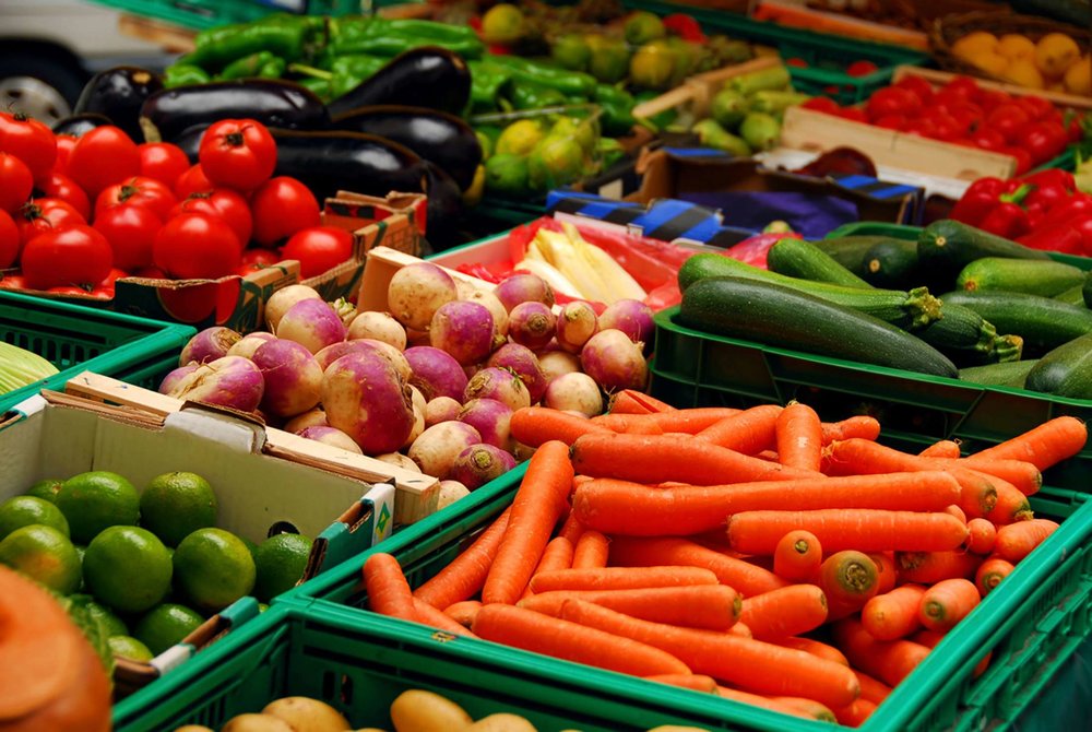 agro exports